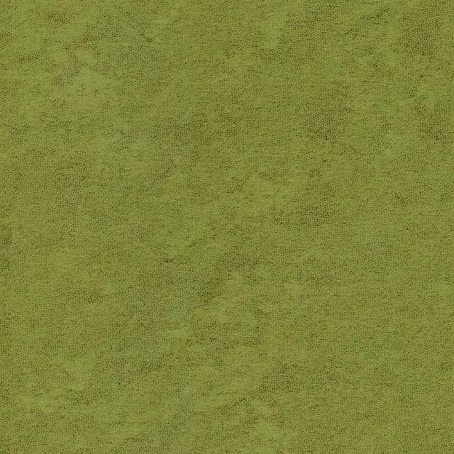 Rifurn Boston fabric SR 08 close-up